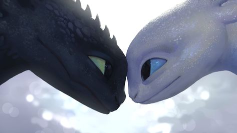 Toothless Wallpaper, Httyd Toothless, Dragon Light, Kartu Doa, Toothless Dragon, Whatsapp Wallpaper Cute, Light Fury, Httyd Dragons, Dragon Trainer