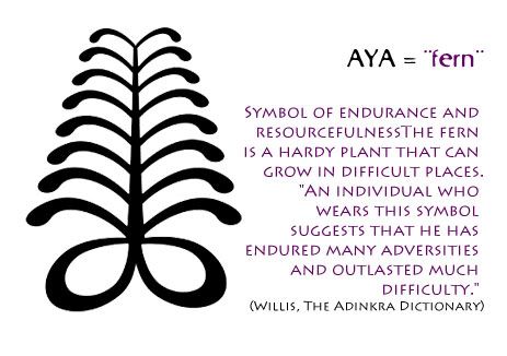 The aya is a very strong tree, it represents strenght and grow in adversity. I want an aya because I have been through a lot of troubles in my life. Aya Fern Tattoo, Aya Tattoo Symbols, Fern Spiritual Meaning, Fern Tattoo Meaning, Fern Symbolism, Fern Symbol, Fern Meaning, Aya Tattoo, Aya Symbol