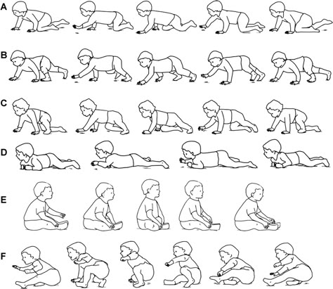 A. Standard Crawling B. Hands-and-Feet Crawling C. Step-Crawl Mix D. Creeping E. Scooting F. Step-Scoot Mix Using Three Limbs Arch Drawing, Baby Coloring Pages, Human Figure Drawing, Baby Illustration, Crawling Baby, Baby Drawing, 캐릭터 드로잉, Animation Reference, Digital Painting Tutorials