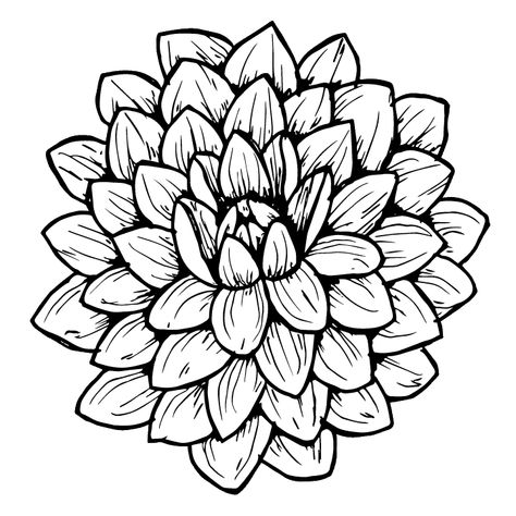 How to Draw a Dahlia: Step-by-Step Tutorial - The Happy Ever Crafter How To Draw Dahlia Step By Step, Delilah Flower Drawing, How To Draw Dahlia, Dahlia Line Drawing, Dalia Drawing, Dahlia Flower Painting, Dahlia Drawing, Dahlia Leaves, Dahlia Illustration