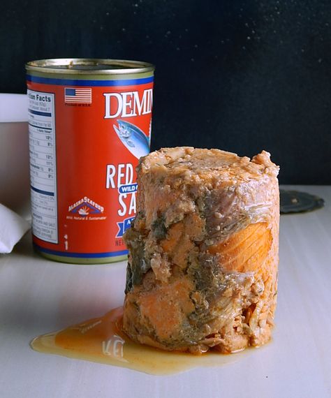 Recipe Canned Salmon, Canned Red Salmon Recipes Easy, Pink Salmon In A Can Recipes, Ways To Use Canned Salmon, How To Use Canned Salmon, Can Salmon Salad Recipes, Recipe For Canned Salmon, Pink Salmon Canned Recipes, Salmon In Can Recipes