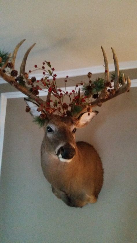 Our big bucks antlers  decorated for christmas Decorated Deer Antlers, Decorated Antlers, Buck Antlers, Big Bucks, Deer Antler, Deer Antlers, Christmas Deer, Taxidermy, Antlers