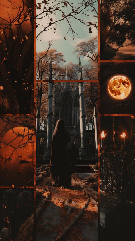 Orange Dark Academia, Witchy Aesthetic Wallpaper Iphone, Dark Academia Aesthetic Moodboard, Autumn Aesthetic Collage, How To Hang Garland On Mantel, Layered Collage, Thanksgiving Backgrounds, Paper Napkin Folding Ideas, Elf Is Back Ideas