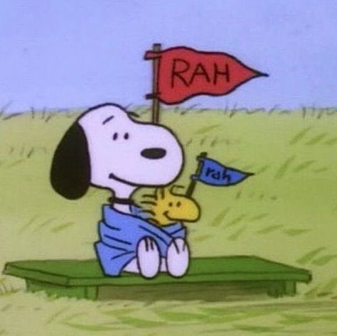 Woodstock Snoopy, Snoopy Cartoon, Snoopy Images, Snoopy Wallpaper, Snoopy Pictures, Joe Cool, Snoop Dog, Snoopy Love, Cowboy Bebop