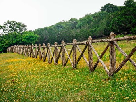 Log Fence Ideas, Outdoor Ideas Garden, Cerca Natural, Log Fence, Como Plantar Pitaya, Rustic Garden Fence, Ranch Fencing, Country Fences, Diy Garden Fence