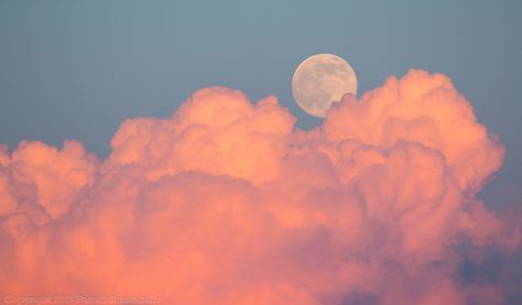 https://flic.kr/p/oiAMN9 | Super Moon and Clouds | July 11,12, 2014 Super Moon!  Looked out just in time with my camera handy! Samsung Wallpaper Android, Youtube Background, Wallpapers Ipad, نباتات منزلية, Wallpapers Android, Desktop Wallpaper Art, Cute Desktop Wallpaper, Angel Aesthetic, Wallpaper Laptop