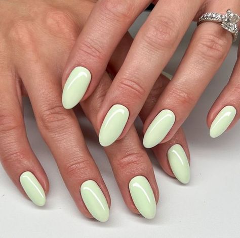 Daisy Nail Designs on Instagram: "🍈🥥🐚🍡 Pistachio Dreams in Mint To Be DC 2512 - Available in Gel Polish and Lacquer from the Free Spirit Collection.   💅🏽 @nailsbytaylorjustine + @karisnailart   #dndgelpolish #nails #dndminttobe #dnd2512 #mintnails #mintgreennails #greennails #softnails #dreamynails #prettynails #nailsinspiration #pastelnails #perfectnails" Mint Green Manicure, Pistachio Color Nails, Light Green And White Nails, Green Pastel Nails, Mint Gel Nails, Pistachio Nails, Daisy Nail Designs, Lime Green Nails, Mint Green Nails