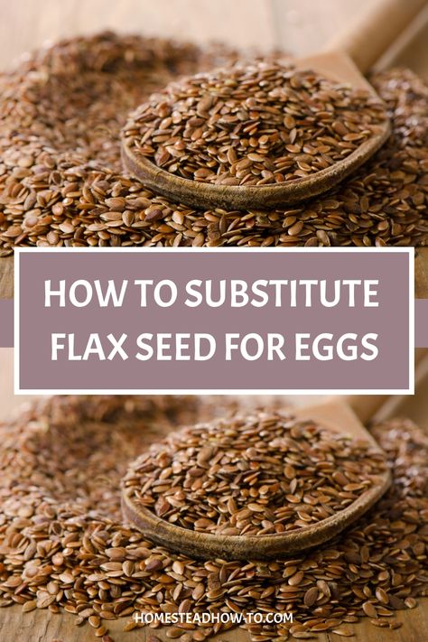 Flax Seed Egg Replacement, Ground Flax Seed Recipes Keto, Flax Seed Egg Substitute, Flax Egg Recipe, Eoe Recipes, Egg Replacement In Baking, Comfort Baking, Flax Seed Egg, Berry Jam Recipe