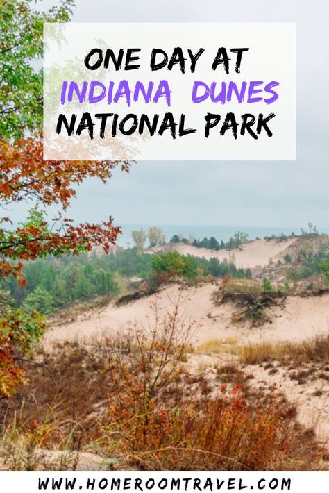 One day at Indiana Dunes National Park is the perfect amount of time to spend in this park hiking, viewing wildlife, and unique Century of Progress homes. Mount Baldy trail, Lakeview Beach, Century of Progress Homes, Portage Lakefront and Riverwalk,, the Dune Succession Trail, and the 3 Dune Challenge are some of the fun things to do at Indiana Dunes National Park. #indiana #USNationalParks #indianastatepark #indianadunes Indiana Dunes State Park, Indiana Dunes National Park, Top Highlights, Indiana Travel, Sand Dunes National Park, Indiana Dunes, Michigan City, National Parks Usa, National Parks Trip