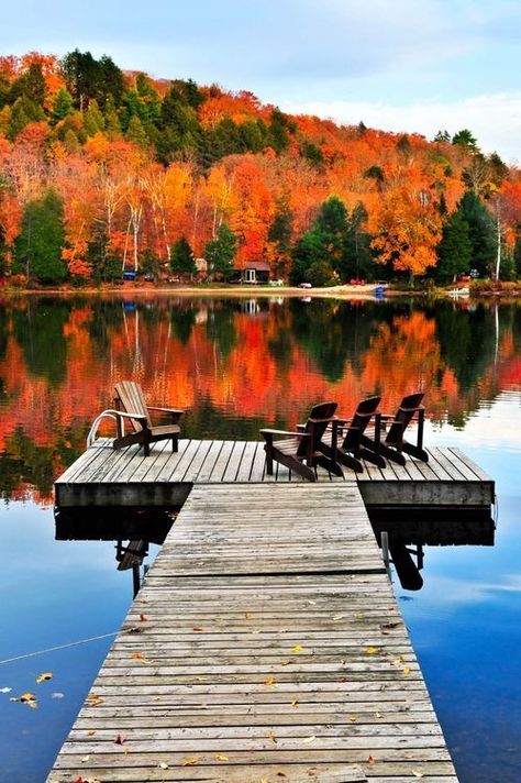 Beautiful fall background on the lake Lake Simcoe, Ontario, Canada Algonquin Park, Haus Am See, Belle Nature, Lake Living, Autumn Scenes, Fall Pictures, Lombok, Fall Foliage, Belle Photo