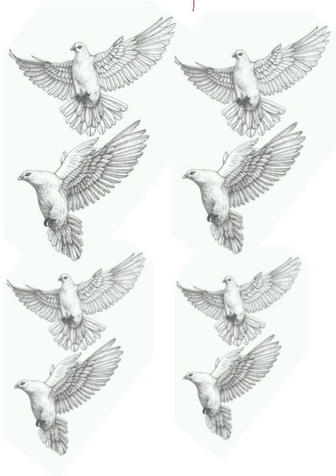 Dove Tattoo For Men, Realistic Dove Tattoo, Catholic Tattoos For Men, Tattoo Drawing Ideas, Bird Hand Tattoo, Dove Drawing, Catholic Tattoos, Dove Tattoo Design, Fly Drawing