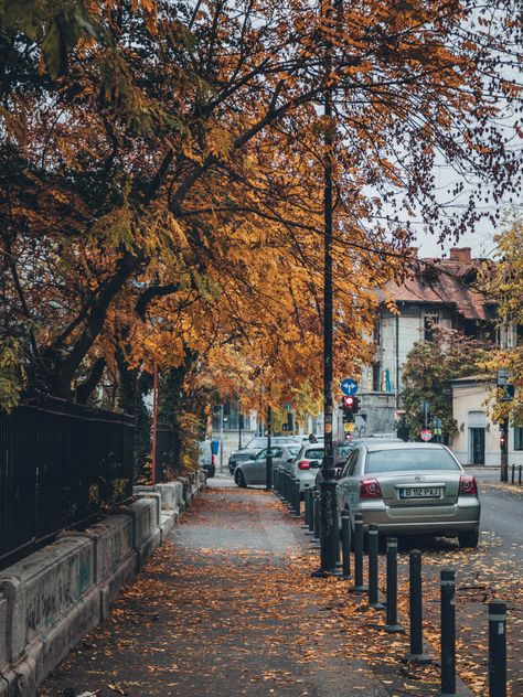 Sidewalk Photography, Street Sidewalk, Europe Autumn, Autumn Street, Romania Travel, Photography Autumn, Europe Aesthetic, Trip To Europe, East Europe