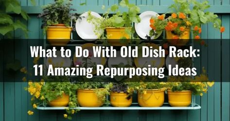 What To Do With Old Dish Racks: 11 Amazing Repurposing Ideas Dishwasher Rack Repurpose, Repurposing Ideas, Floating Bookshelf, Dish Drainers, Dish Rack, Metal Rack, Plate Racks, Dish Racks, Pot Rack