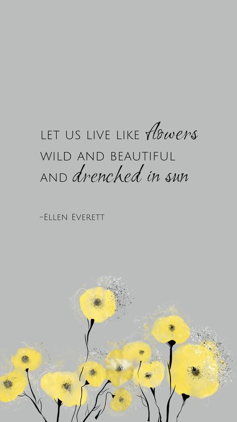 Let us live like flowers Wild and beautiful And drenched in sun - Ellen Everett #quote #flowersquote #illustration #watercolor Orange Flower Quotes, Ellen Everett, Let Us Live Like Flowers, Flower Film, Nature Therapy, Sun Quotes, Flowers Wild, Simple Quotes, Hello Lovely