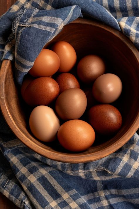 Chicken Eggs Aesthetic, Egg Aesthetic, Eggs Aesthetic, Ipad Aesthetics, Herbs For Chickens, Cafe Ice Cream, Shade Of Brown, Chicken Nesting Boxes, Chicken Keeping