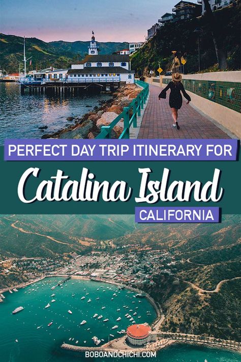 the perfect catalina island day trip guide for the best things to do at Catalina in a day a perfect day trip from Los Angeles Los Angeles Day Trips, Catalina California, Things To Do In California, Catalina Island California, California Travel Guide, California Trip, Travel California, California Vacation, Catalina Island