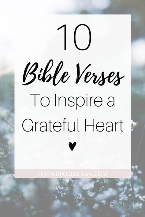 Use these gratitude bible verses and scriptures to inspire a grateful heart within yourself #grateful #thankful #bibleverse #scripture Biblical Gratitude Quotes, Thank You Quotes Gratitude Christian, Scriptures For Thankfulness, Bible Verse About Gratefulness, Bible Thankful Quotes, Scriptures On Thankfulness, Scriptures About Thankfulness, Grateful Quotes Bible, Thank You Bible Verse Scriptures