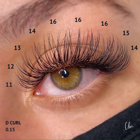 🏆 Luxury Lashes Manufacturer on Instagram: “Thank you so much for all the love on my last post! Here’s the lash map I used ❤️❤️❤️ fabulous work from @lashedbychanelle ❤️ Thank you…” Eyelash Extensions Classic, Natural Fake Eyelashes, Lash Extentions, Lashes Fake Eyelashes, Eyelash Tips, Eyelash Technician, Lash Extensions Styles, Eyelash Extensions Styles, Perfect Eyelashes