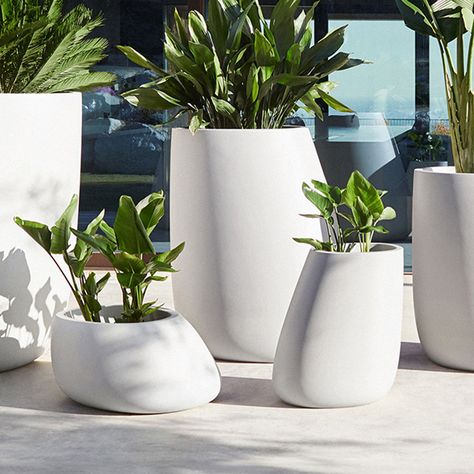 Outdoor Planters by Vondom The Stone Series, designed by Stefano Giovannoni, captivates with its organic shapes that appear to be found in nature itself. The Stone Planter Pot exudes a welcoming appeal with its soft, rounded designs. Its nature-inspired design fits seamlessly into both indoor and outdoor settings, making it an ideal choice for residential and commercial spaces alike. Crafted from weather-proof polypropylene, these modern planter pots are 100% recyclable, reflecting Vondom’s commitment to nature. Experience the perfect blend of natural inspiration and modern design with these lawn and patio planters by Vondom. Embrace elegance and durability - shop now! Meet the Designer Stefano Giovannoni, born in La Spezia, is a prominent figure in the design world, currently residing and Outdoor Pots And Planters Inspiration, Mediterranean Backyard Ideas, Pool Planters, Modern Planters Outdoor, Stefano Giovannoni, Stone Planter, Concrete Plant Pots, Garden Spheres, Garden Tattoos