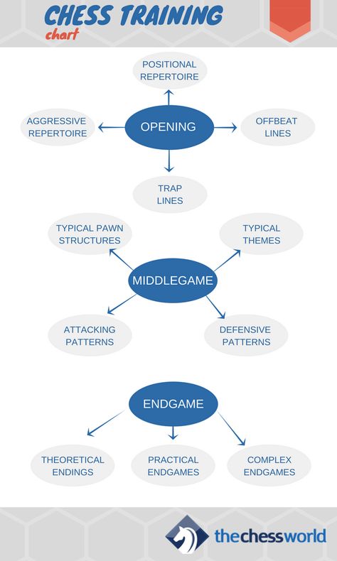 The Ultimate Chess Training Guide [Worksheets Enclosed] at TheChessWorld.com Chess Worksheets, Chess Learning, Chess Guide, Learning Chess, Chess Basics, Chess Rules, Different Types Of Lines, Chess Tactics, Types Of Lines