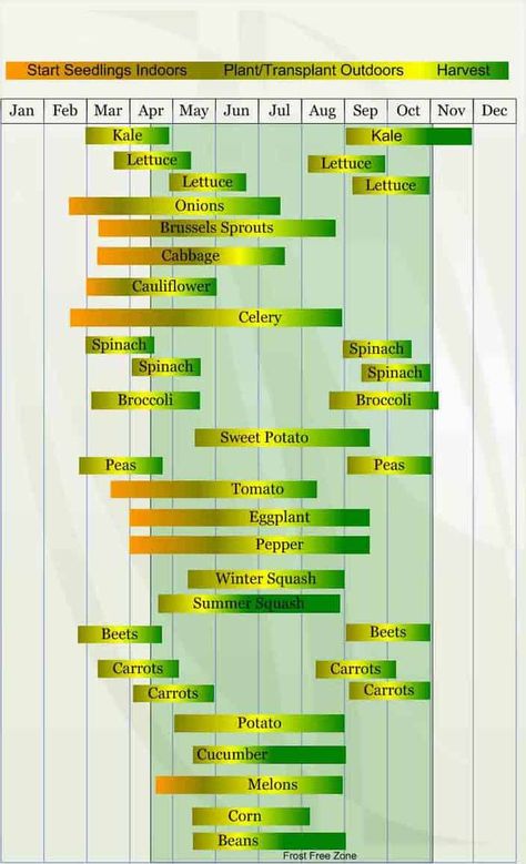 Vegetable Planting Calendar, Gardening Calendar, Seedlings Indoors, Planting Calendar, Zone 7, Gardening Zones, Fall Vegetables, Fall Garden Vegetables, Magic Garden