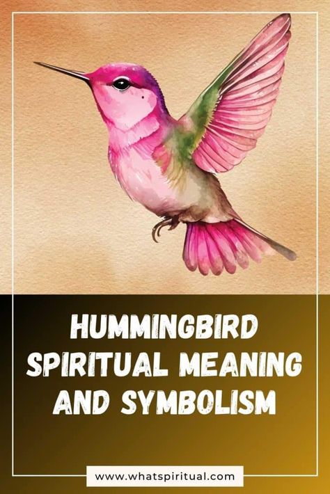 Hummingbird Spiritual Meaning and Symbolism (+Totem & Spirit) | What Spiritual Hummingbird Meaning Spiritual, Hummingbird Spiritual Meaning, Hummingbird Totem, Hummingbird Meaning, Hummingbird Designs, Hummingbird Symbolism, Orange And Black Butterfly, Negative Traits, Humming Bird