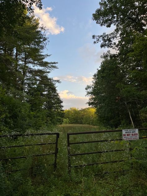 Pine Woods Aesthetic, Rural House Aesthetic, Rural New England, Rural Midwest Aesthetic, Rural England Aesthetic, Rural New York, Rural America Aesthetic, New Hampshire Aesthetic, New England Gothic