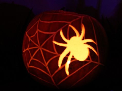 2015 Halloween Pumpkins - Spider web. Pumpkin Carving Ideas Spider Web, Pumpkin Carving Spider Web, Spiderweb Pumpkin Carving, Spider Pumpkin Carving Ideas, Pumpkin Carving Ideas Spider, Spider Web Pumpkin Carving, Pumpkin Carving Spider, Modern Pumpkin Carving, Pumpkin Minions