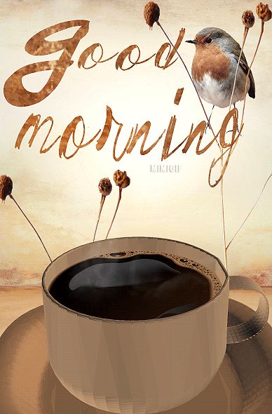 Mimi Gif: Good Morning (COFFEE) Good Morning Gifs Funny, Gif Good Morning, Good Morning Sister Quotes, Morning Sister, Good Morning Gift, Good Morning Tea, Good Morning Sister, Good Morning Coffee Gif, Good Morning Coffee Images