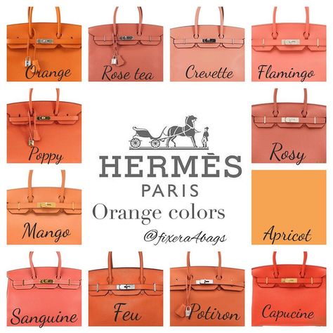 Hermes Birkin Colours, Hermes Colors, Hermes Kelly Bag, Kelly Bag, Cheap Handbags, Hermes Paris, Hermes Handbags, Cute Purses, Hermes Bags