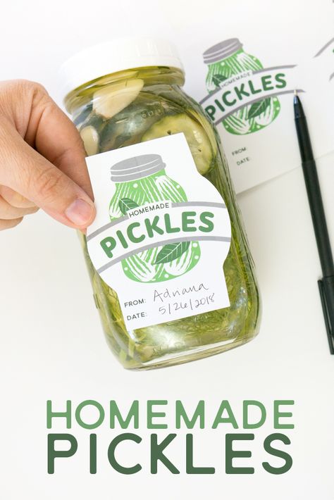 Homemade pickle recipe and free printable label Pickle Labels Free Printable, Pickles Jar Design, Pickle Label Design Ideas, Pickle Logo Design Ideas, Pickle Jar Label Design, Pickle Branding, Pickle Label Design, Pickle Logo, Pickle Brands