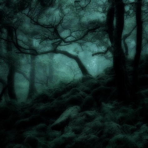 1366x768 Wallpaper Hd, Fairy Grunge Aesthetic, Dark Naturalism, Dark Forest Aesthetic, Dark Fairycore, Grunge Pictures, Fairycore Aesthetic, Dark Green Aesthetic, No Contact