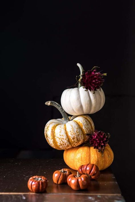 Pumpkin Patch Punch | halfbakedharvest.com #pumpkin #cocktails #punch #tahnksgiving #halloween Ginger Beer Drinks, Autumn Punch, Pumpkin Photography, Fall Cocktail, Vodka Cocktails Recipes, Pumpkin Photos, Pumpkin Butter, Spiced Pumpkin, Halloween Cocktails