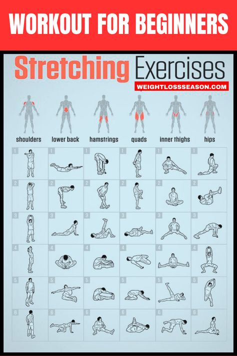 Workout For Beginners, Stretching Exercises, Lose Weight Easily, Full Body Exercises 30 Day Stretch Challenge For Beginners, Full Body Stretching Exercise, Standing Stretching Exercises, Streching Excersise Height, Sit Ups For Beginners, Sit Routine, Full Body Work Out, Obese Workout Beginner, Leg Stretches For Flexibility