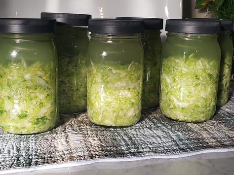 Making Sauerkraut in a Jar -The Quart Jar Method - Green Pig Farm Large Crock, Food Grade Buckets, Making Sauerkraut, Sour Cabbage, Fermented Sauerkraut, Homemade Sauerkraut, Fermented Cabbage, Pig Farm, Sauerkraut Recipes