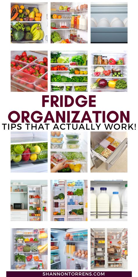 fridge organization ideas Organized Refrigerator Ideas, Refrigerator Organization Ideas, Messy Fridge, Moldy Food, Organized Refrigerator, Fridge Organization Ideas, Refrigerator Ideas, Cleaning Supplies Organization, Holiday Organization