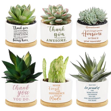 PRICES MAY VARY. 💝【Package Included】You will get 6 pieces of coworker small plant pots gifts and 6 pieces of bamboo trays, and designed in 6 different color and inspirational thank you phrases, with ample quantity and rich styles,you can grow a variety of small plants, like succulents, mini flowers, and you can hand them out as gifts to express your deep appreciation. 🌼【Thank You Phrases Design】The mini inspirational thank you ceramic pots for plants feature the distinctive color design, and a Nurse Friends, Mom Appreciation, Ceramic Succulent Planter, Succulent Planters, Mini Flowers, Ceramic Succulent, Bamboo Tray, Small Potted Plants, Ceramic Pots