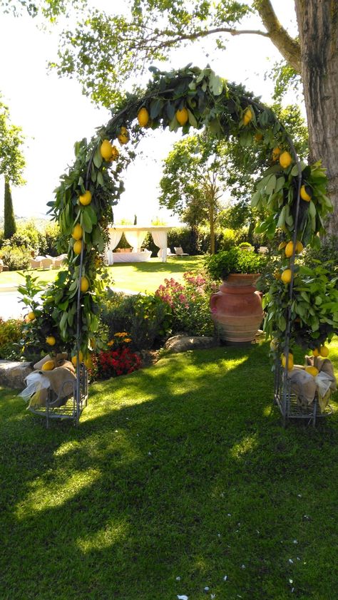 Lemon tree wedding ceremony arch Lemon Tree Decoration Ideas, Lemon Tree Wedding, Lemon Tree Decor, Amalfi Theme, Lemon Themed Wedding, Tree Wedding Ceremony, Balboa Park Wedding, Garden Archway, Lemon Wedding