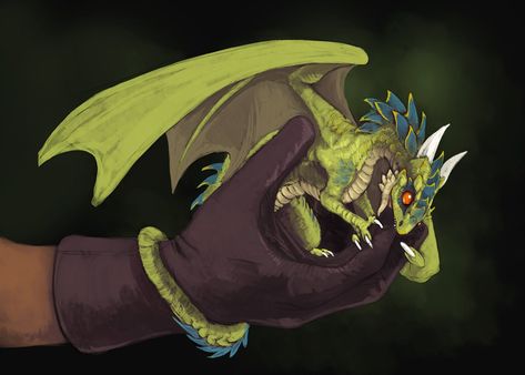 Flamespitter on Twitter: "#Smaugust Day 21 - Miniature Dragon  Tiny dragon does a bite. So ferocious.… " Tiny Dragon, Dragon Tales, Dnd Dragons, Dragon Sketch, Cool Dragons, Fairy Dragon, Fantasy Beasts, Dragon Rider, Dragon Pictures