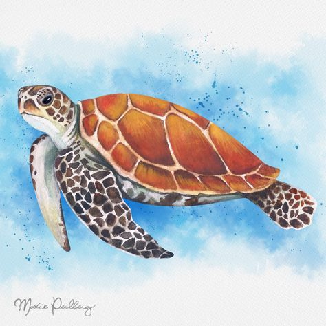 Sea Turtle Drawing, Watercolor Sea Turtle, Sea Turtle Pictures, Sea Turtle Watercolor, Sea Turtle Painting, Turtle Watercolor, Turtle Drawing, Sea Turtle Art, Hijau Mint