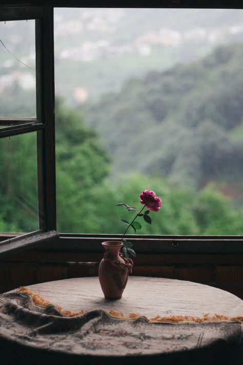 Pink Flower on Brown Ceramic Vase by the Window · Free Stock Photo Window Wallpaper Aesthetic, Iphone Wallpaper Plants, Flower Vase Drawing, Unreal Unearth, House Design Drawing, Rainy Window, Copyright Free Images, Draw Flowers, Islamic Culture