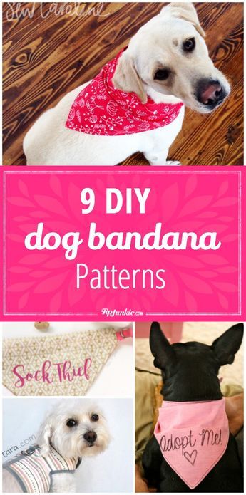 9 DIY Dog Bandana Patterns - Tap the pin for the most adorable pawtastic fur baby apparel! You'll love the dog clothes and cat clothes! <3 Diy Dog Bandana, Dog Bandana Pattern, Dog Bandanna, Bandana Pattern, Dog Clothes Diy, Dog Clothes Patterns, Dog Projects, Dog Crafts, Dog Bandanas