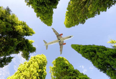 One U.S. airline is making a serious commitment to the Earth this year. The post This Airline Aims to Become the Most-Eco Friendly in the Country appeared first on Reader's Digest. Honolulu Airport, Aviation Fuel, Air Traffic Control, Air New Zealand, Alaska Airlines, Domestic Flights, Eco Friendly Travel, Sustainable Travel, Air Travel