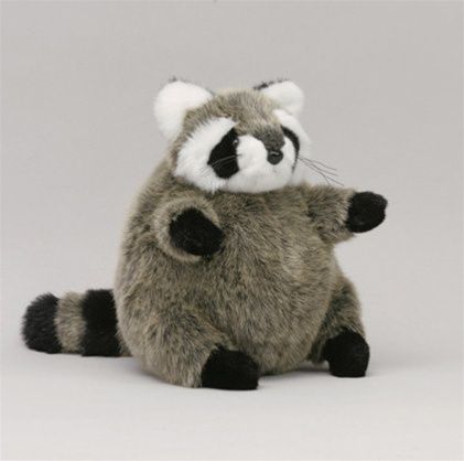 Coony Image Joker, Racoon, Cute Stuffed Animals, Cute Plush, Doja Cat, Plush Animals, 귀여운 동물, Sharks, Stuffed Animal