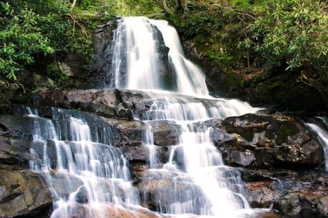 5 Things to Do in the Great Smoky Mountains National Park for Families Smoky Mountain Waterfalls, Laurel Falls, Waterfall Trail, Mountain Waterfall, Waterfall Hikes, Cades Cove, Mountain Vacations, Fall Hiking, Great Smoky Mountains National Park