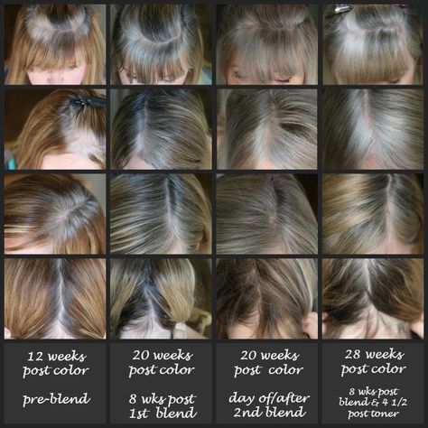 My Transition to Gray Hair - dimplesonmywhat Going Grey Transition, Brown Hair Pictures, Gray Roots, Grey Hair With Bangs, Silver Hair Highlights, Grey Hair Over 50, Grey Hair Transformation, Make Hair Grow, Grey Hair Inspiration