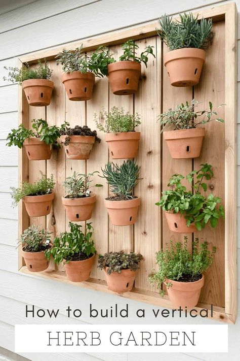 Wall Herbs Outdoor, Vertical Herb Garden Fence, Herb Outdoor Planters, Outdoor Wall Garden Ideas, Wall Hanging Herb Garden Indoor, Vertical Garden Wall Indoor Kitchen Herbs, Mini Backyard Garden, Hanging Garden Outdoor, Vertical Herb Garden Ideas