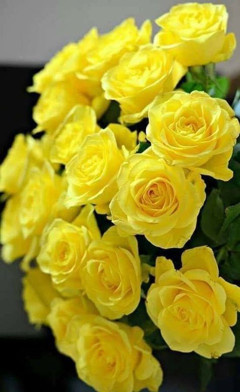 Yellow Roses Bouquet, Roses Only, Rose Belle, Rose Flower Wallpaper, Mother Love, Roses Bouquet, Rose Pictures, Beautiful Flowers Wallpapers, Beautiful Rose Flowers