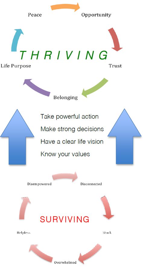 Coaching Model: From Surviving to Thriving Group Coaching Ideas, Thriving Thursday, Surviving To Thriving, Life Coaching Business, Coaching Skills, Life Coaching Tools, Instructional Coaching, Online Coaching Business, Executive Coaching