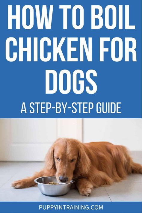 Cooking Chicken For Dogs, Boiled Chicken And Rice For Dogs, Dog Chicken Recipes, Boiled Chicken For Dogs, How To Boil Chicken For Dogs, Chicken Recipes For Dogs, How To Boil Chicken, Homemade Dog Food Chicken, Chicken Broth For Dogs